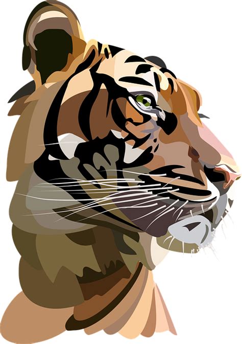 Tiger Icon Wild Cat Free Vector Graphic On Pixabay