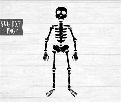 Download SIMPLE SKELETON - SVG BUNDLES CO.