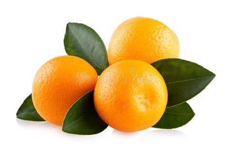 Fresh Mandarin Oranges Stock Image Image Of Ripe Healthy 173766477