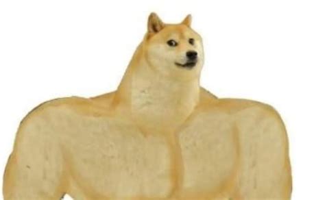 Cheems Y Doge Png Is A Very Kind Soul Showing Kindness To Those Who