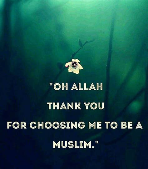 Pin By Mohammed Ashraf On I Am Muslim And I Am Proud Of It Islamic
