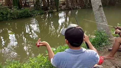 Mancing Mania Youtube