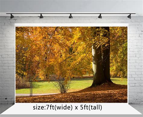 Greendecor Polyester Fabric 7x5ft Nature Scenery Photo Backgrounds Fall