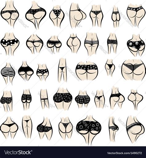 Collection Of Sexy Female Buttocks In Panties Vector Image