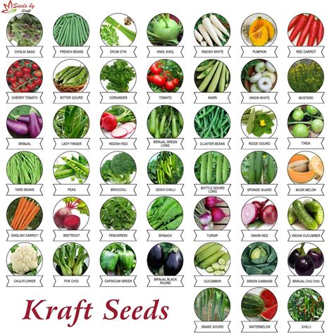 Kraft Seeds Fresh Vegetable Seeds For Home Gardening45 Packets 1gm