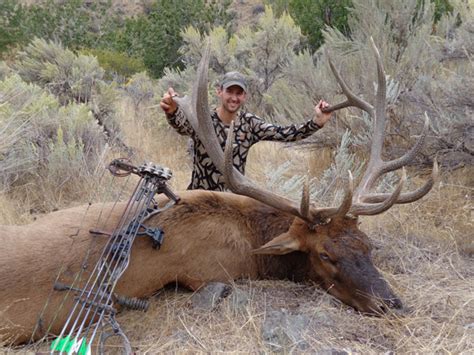 340 Inch Idaho Trophy Archery Bull
