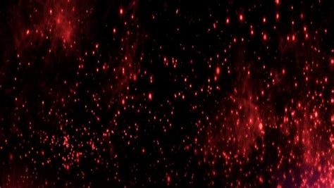 Rising Red Light Particles Colored Backgrounds Stock Footage Video 100