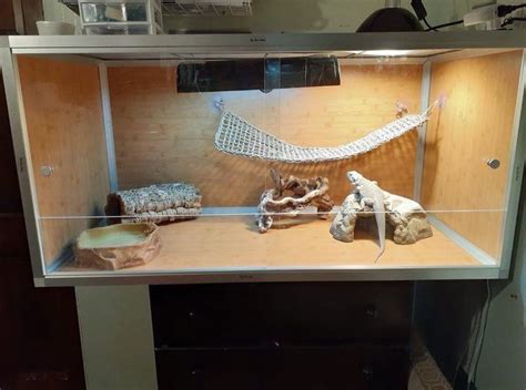 I bought my fiancé a bearded dragon 3 years ago. Simple wooden bearded dragon vivarium | Bearded dragon ...