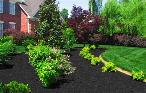 A Color Specialist In Charlotte What Color Mulch To Choose