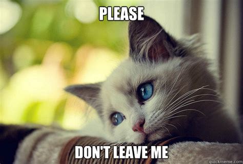 Please Dont Leave Me First World Problems Cat Quickmeme