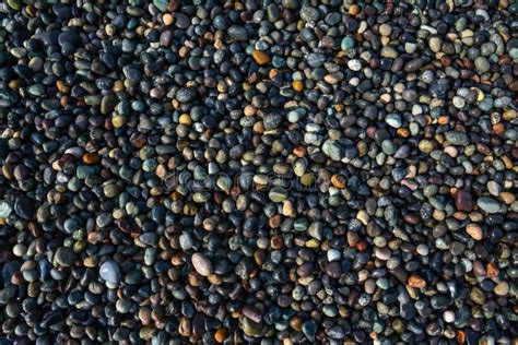 Colored Pebbles On The Beach Stock Image Image Of Boulder Background