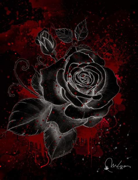 🌹black Rose By Marine Loup Art🌹 Black Roses Wallpaper Rose Art