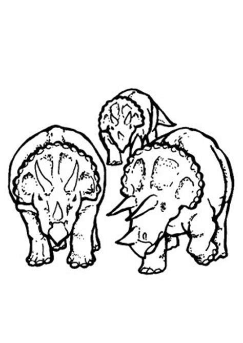 Male die 3 niedlichen tiere in farben deiner wahl an. Ausmalbilder Viele Triceratops - Dinosaurier Malvorlagen