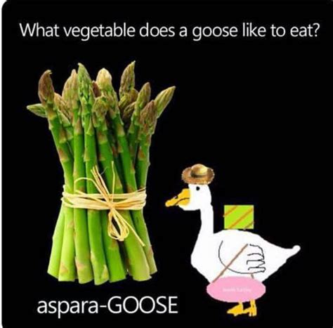 These Punny Jokes Are So Ba Goose Youll Want To Show Them To All