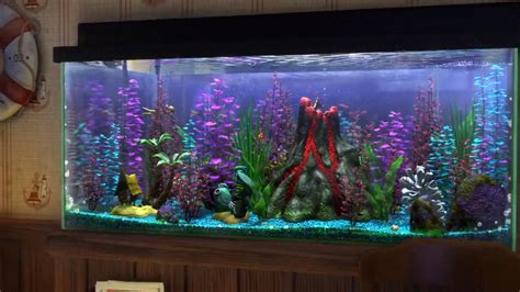 Famous Real Life Finding Nemo Fish Tank 2022