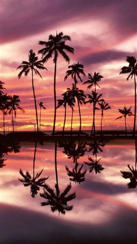 Gorgeous Tropical Sunset Honolulu Hawaii Honolulu Beach Beautiful