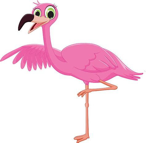 Flamingo Cartoon Animal Animal Leg Illustrations Royalty