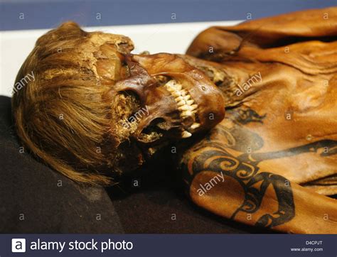 mummy   scythian warrior pictured   museum  art  stock photo alamy