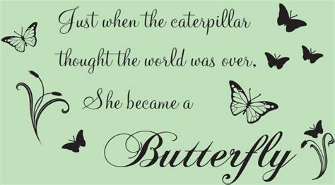 Butterflies Quote Wall Sticker Just When The Caterpillar She Became A Butterfly