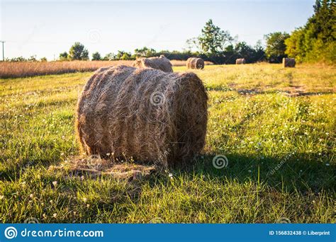 Harvested Straw Field With Hay Bale On Agriculture Field Stock Photo