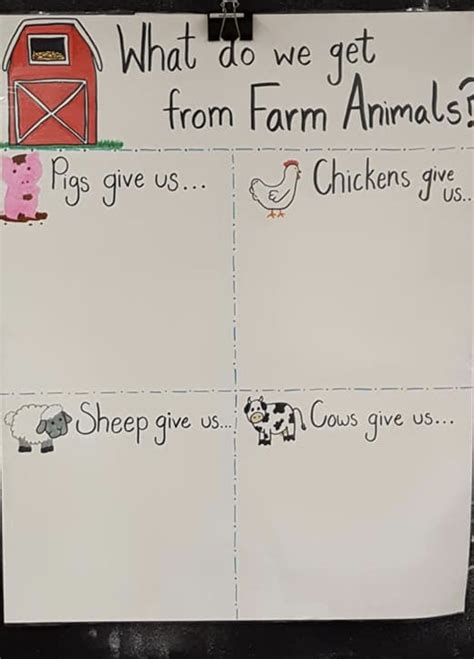Farm Anchor Chart Pet Chickens Anchor Charts Farm Animals