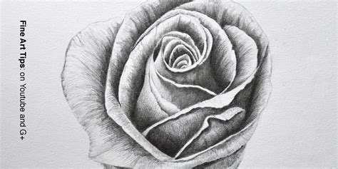 This tutorial will have very detailed steps that you will need to follow. How to Draw a Rose With Pencil - Flowers - Costin Craioveanu