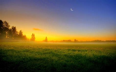 Sky Sun Sunset Moon Night Trees Field Grass Fog Nature Landscape