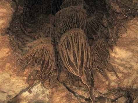 14 Fascinating Things You Probably Didnt Know About Mammoth Cave In