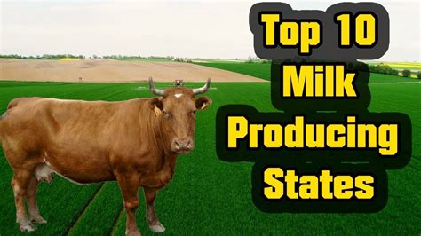 Top 10 Milk Producing States In India Milk Production In India 2021