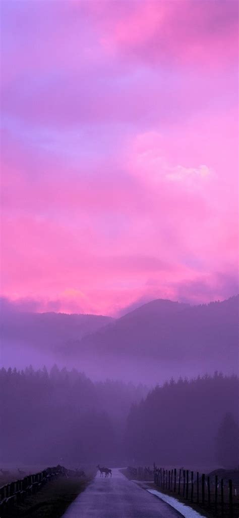 Iphone Pink Sunset Wallpaper Hd Rehare