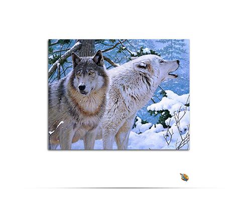 Wolf Paint By Numbers Kit Wild Spirit Wolf Sanctuary T Shop Wild