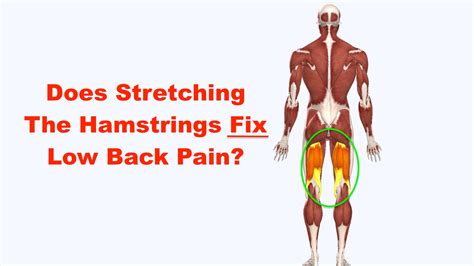 Constantly Tight Hamstrings Off