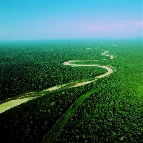Amazonía Beni Bolivia