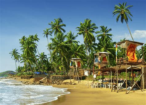 Top 10 Reasons To Visit Goa For An Unforgettable Vacation
