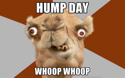 The Best Hump Day Memes Happy Hump Day Meme Funny Hump Day Memes Hump Day Humor Funny
