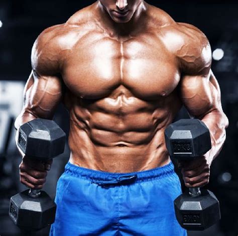 10 Tips To Gain Muscle Mass The Magazine