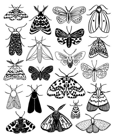 Moths Limited Edition Giclee Print Etsy Kritzeln Kunst