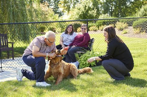 Discover The Surprising Benefits Of Therapy Dogs Senior Star