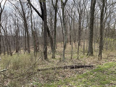 Diverse Southern Illinois Hunting property - Midwest Farm and Land Co.