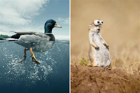 These 75 Creative Photo Manipulation Art Works Will Make You Look Twice
