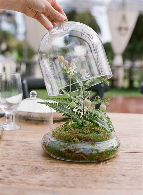 19 Terrarium Centerpieces For The Seriously Cool Couple