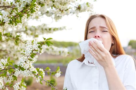 6 Surprising Allergens That Can Lurk Inside Your Home Making You