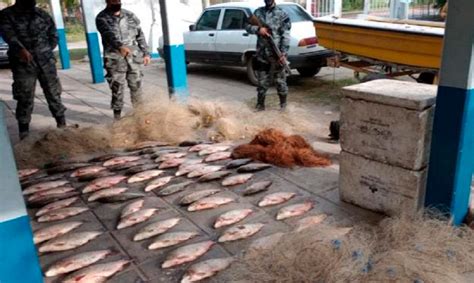 Pesca Furtiva Un Hombre Fue Detenido Con 90 Sábalos Que Había Pescado