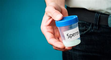 El Precio De La Vida DonaciÓn De Espermatozoides