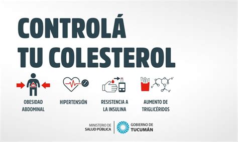 Colesterol Causas Consecuencias Y Recomendaciones Ministerio De Salud P Blica De Tucum N