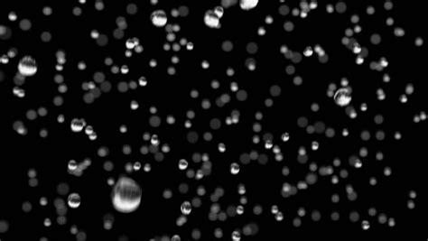 Rain Drops Looped Animation On Black Stock Footage Video 100 Royalty