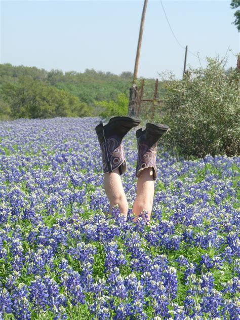 Maybe you would like to learn more about one of these? Bluebonnets in the Texas Hill Country! | Texas gardening ...