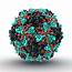 Polio Virus Particle Photograph By Animate4com/science Photo Libary