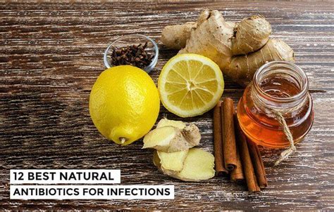 12 Best Natural Antibiotics For Infections Medlife Blog Health And