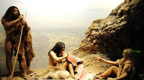 Early Humans Lived In Png Highlands 50 000 Years Ago Freedoms Phoenix